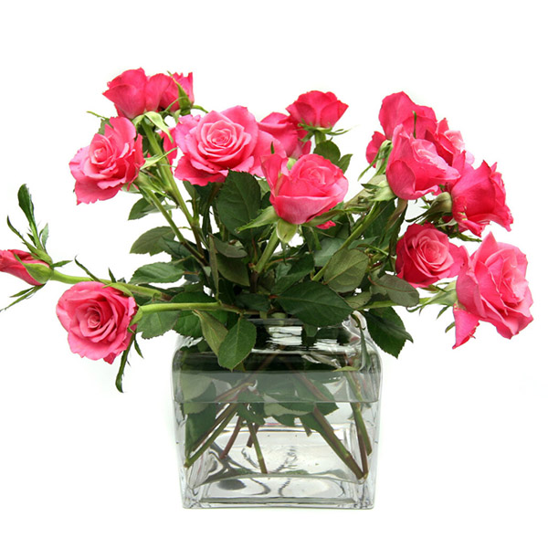 Советы по уходу за букетами. Как дольше сохранить цветы