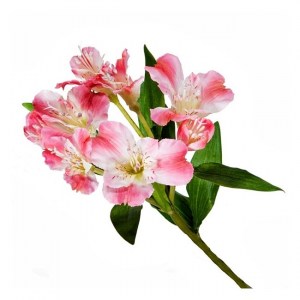 rozovaya-alstr_650x650_6e2